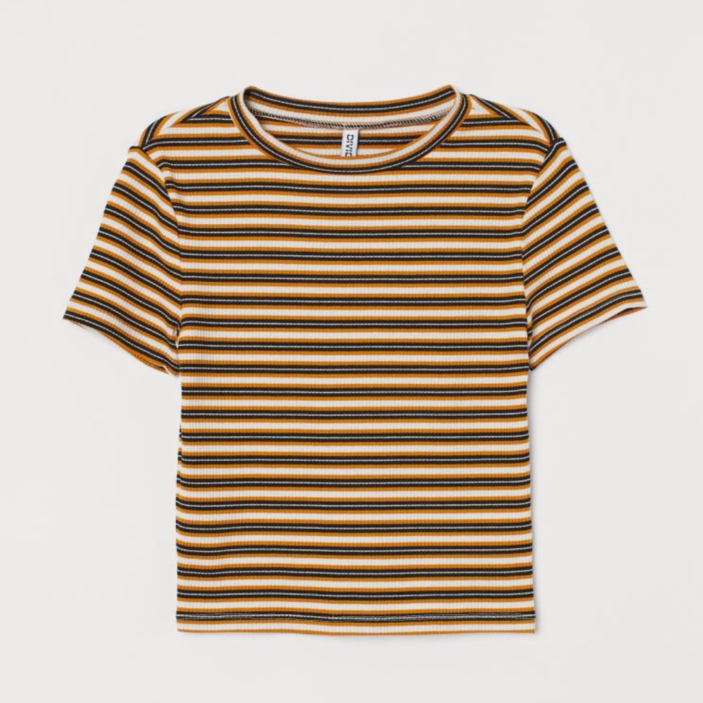 Divided Black and Yellow Striped Crop Top